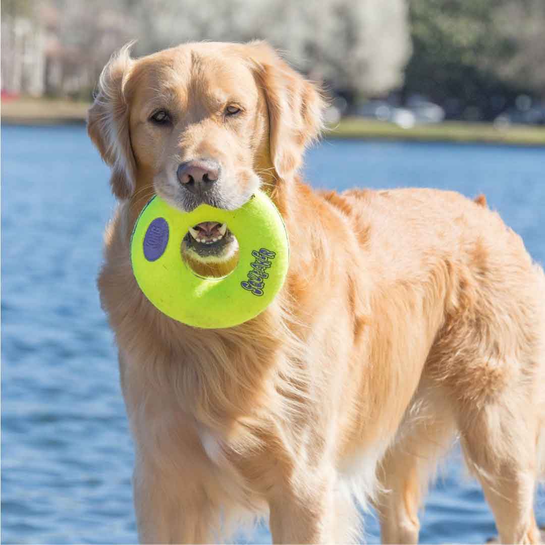 KONG AirDog Squeaker Donut