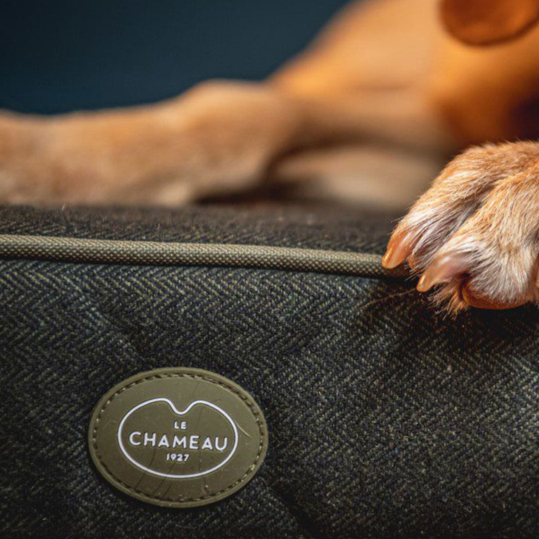 Le Chameau Cushion Dog Bed in Vert Chameau