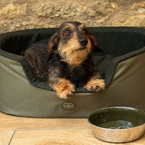 Le Chameau Dog Bed in Vert Chameau