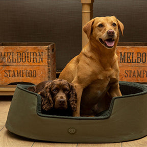 Le Chameau Dog Bed in Vert Chameau