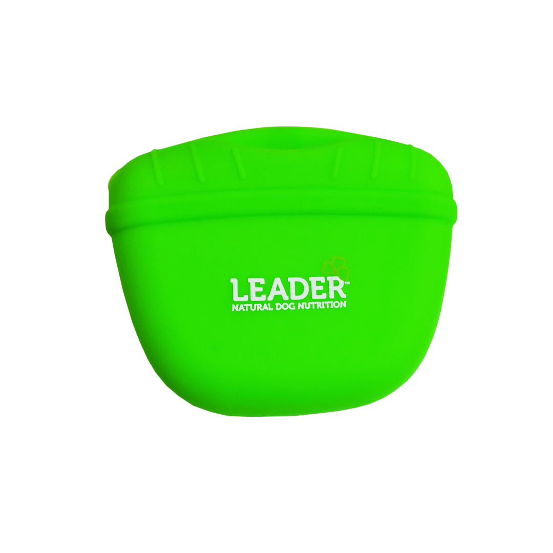 Leader Treat Pouch
