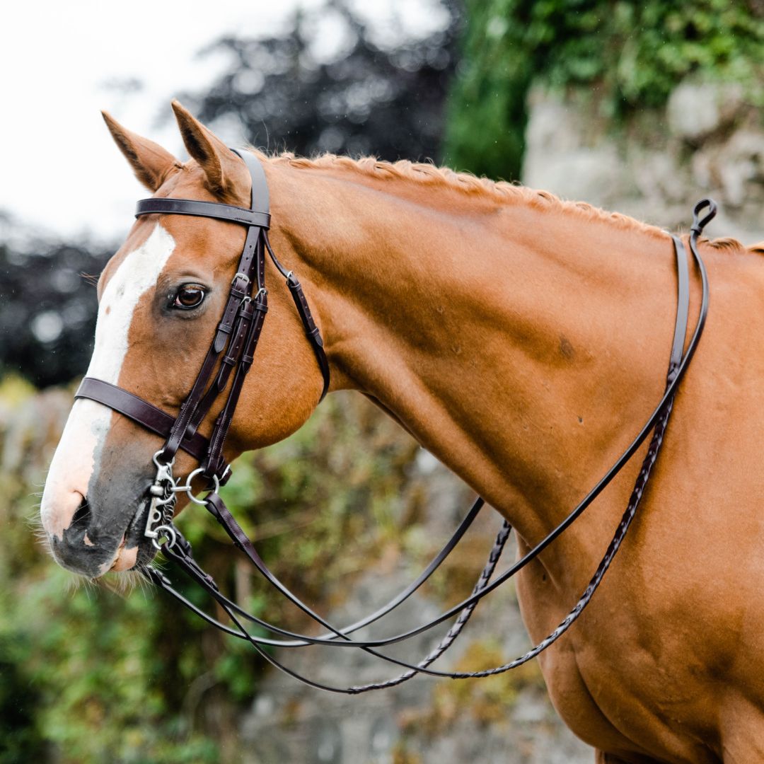 Mackey Classic Double Bridle in Brown