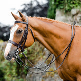Mackey Classic Double Bridle in Brown