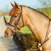 Mackey Classic Padded Flash Bridle in Brown