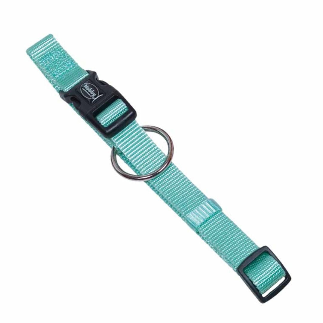 Nobby Classic Dog Collar in Mint
