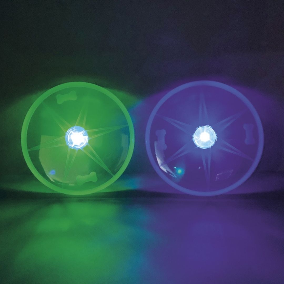 Nobby Flash LED Disc Dog Toy in Green