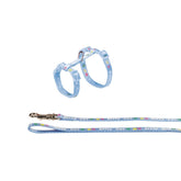 Nobby Kitty Cat Kitten Harness and Lead Set in Blue
