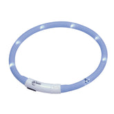 Nobby Puppy LED Light Ribbon in Light Blue