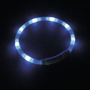 Nobby Puppy LED Light Ribbon in Light Blue