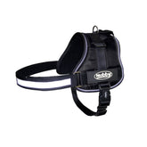Nobby Seguro Dog Harness in Black