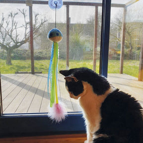 Nobby Ventosa Cat Toy with Catnip