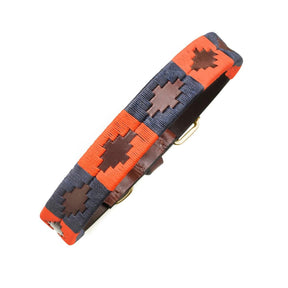 Pampeano Dog Collar in Audaz