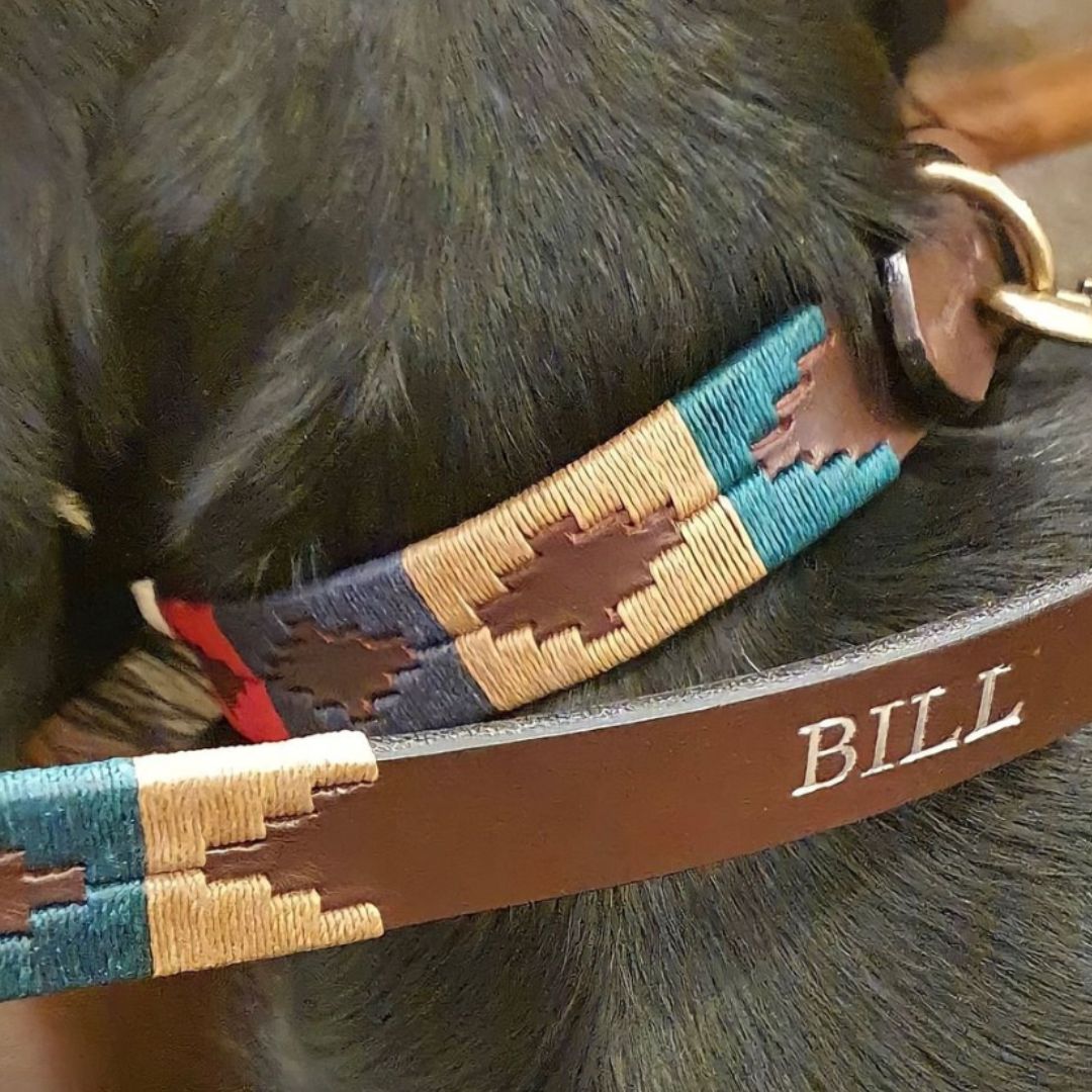 Pampeano Dog Collar in Navidad