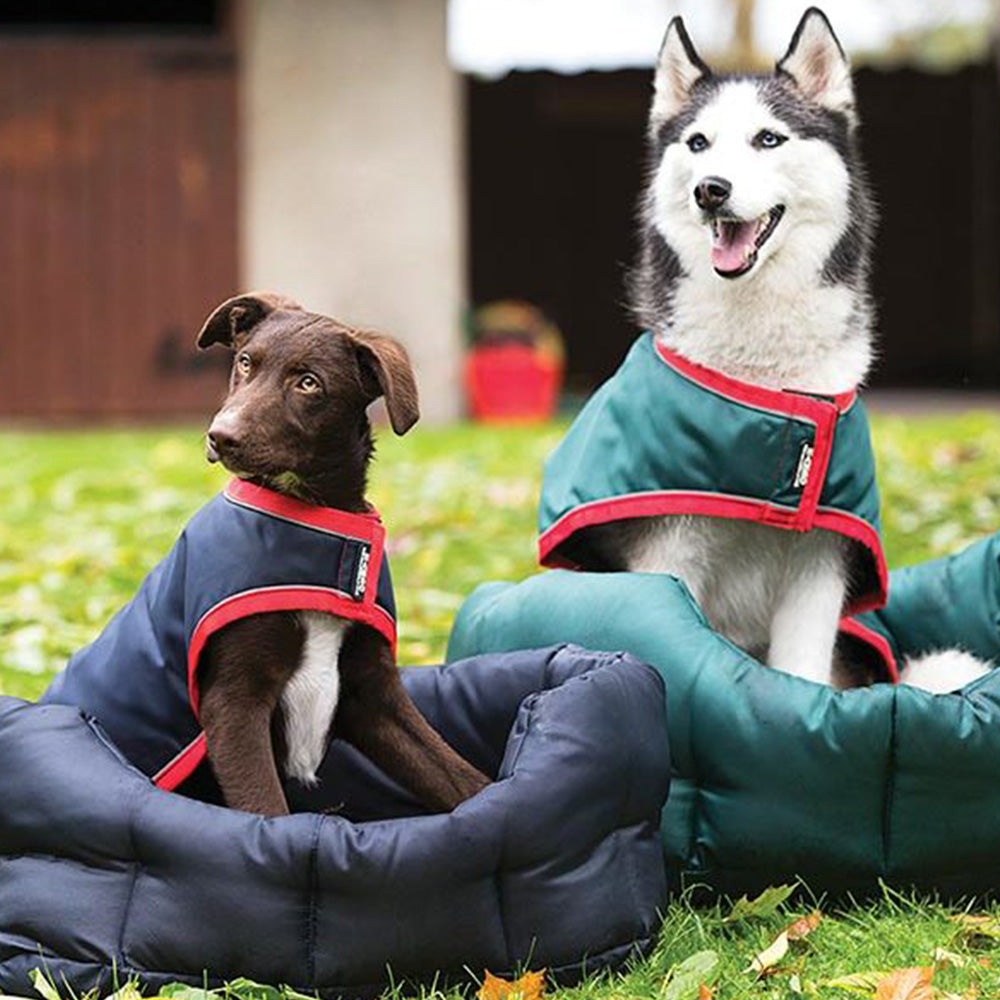 Horseware Rambo Dog Bed in Green