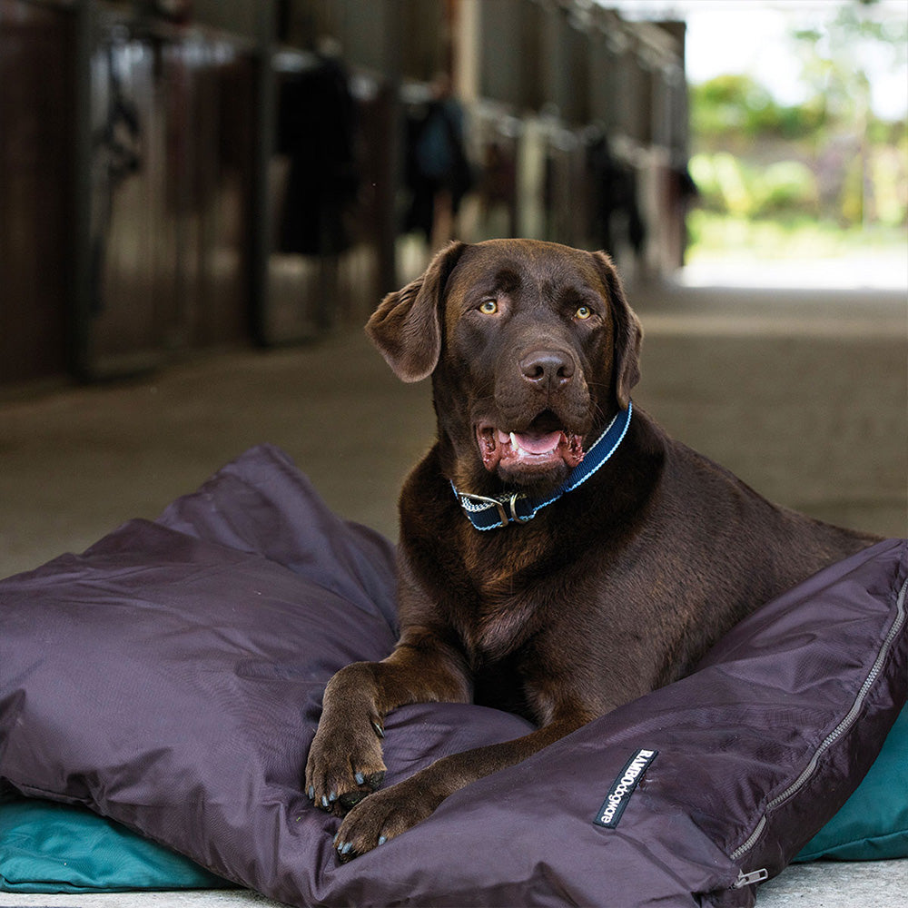 Horseware Rambo Pillow Dog Bed in Brown