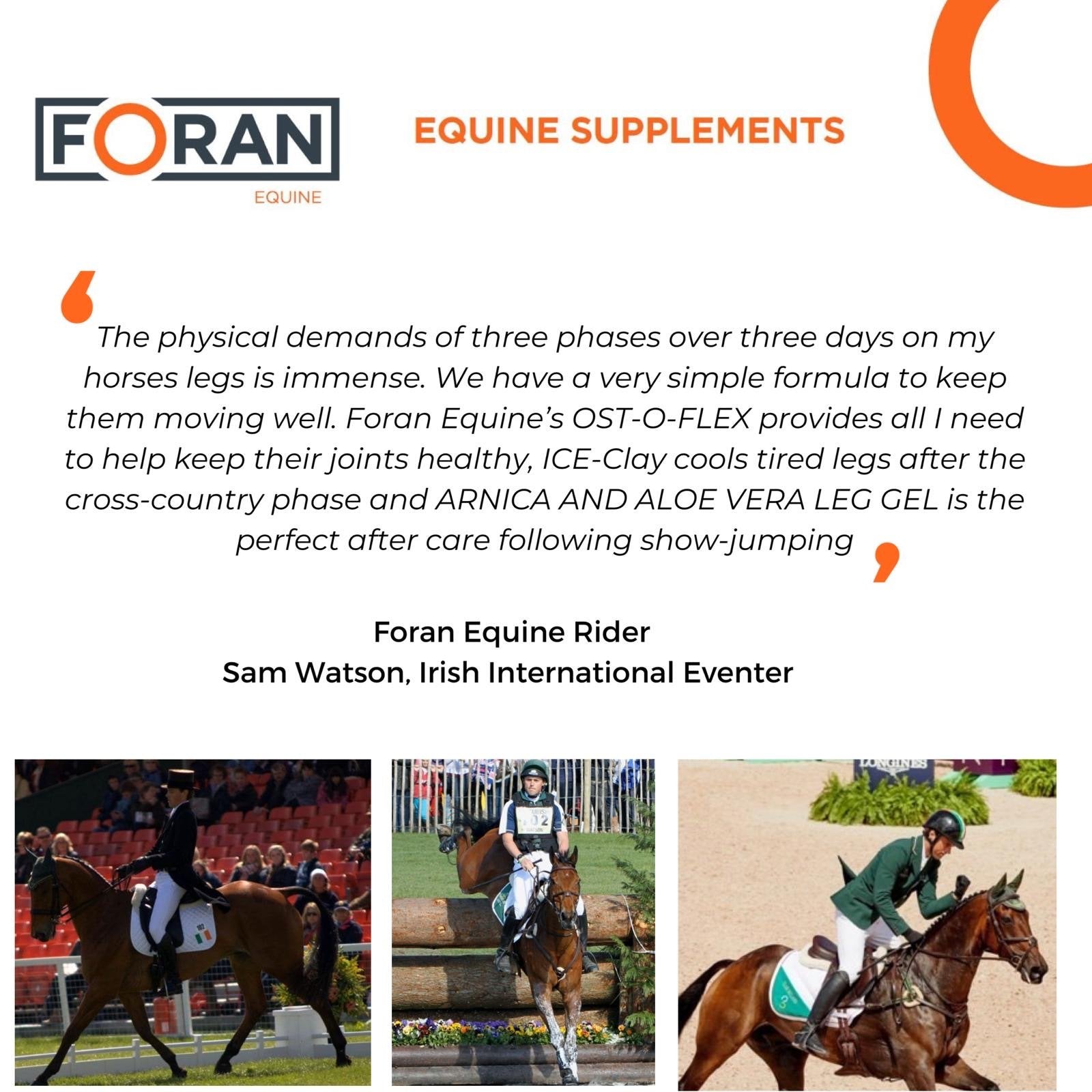 Foran Equine Ice Clay