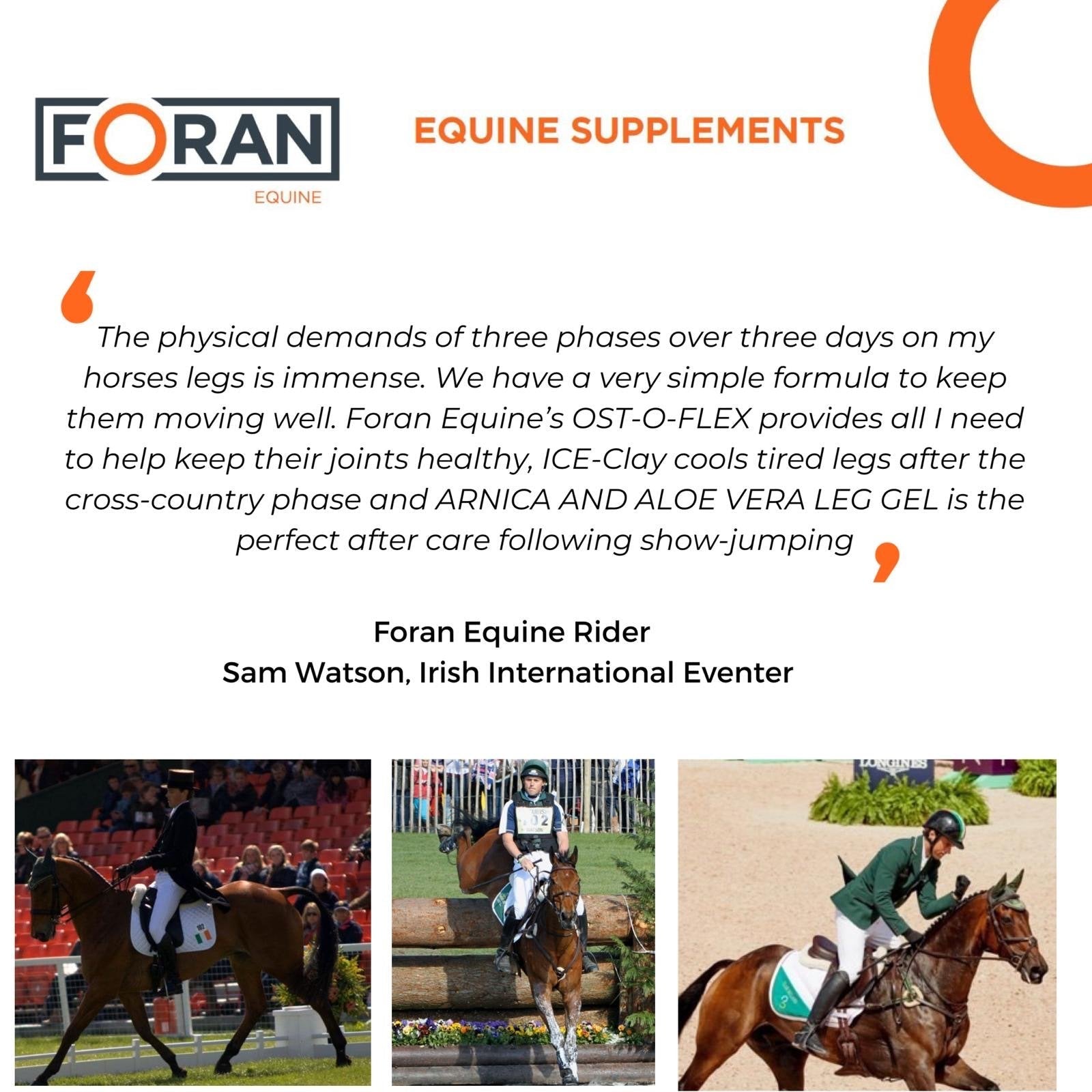 Foran Equine - Ost-O-Flex