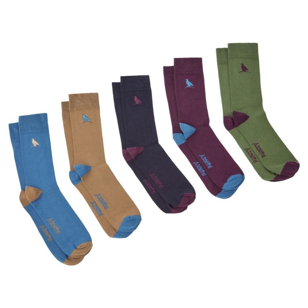 Schoffel Men's Combed Cotton Sock (Box of 5) in Ptarmigan Dark Teal Mix
