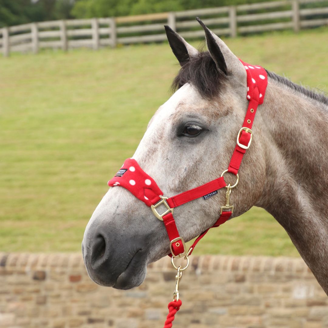 Supreme Products Dotty Fleece Head Collar and Lead Rope in Red