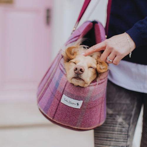 Teddy Maximus Shetland Adjustable Dog Carrier in Pink Plaid
