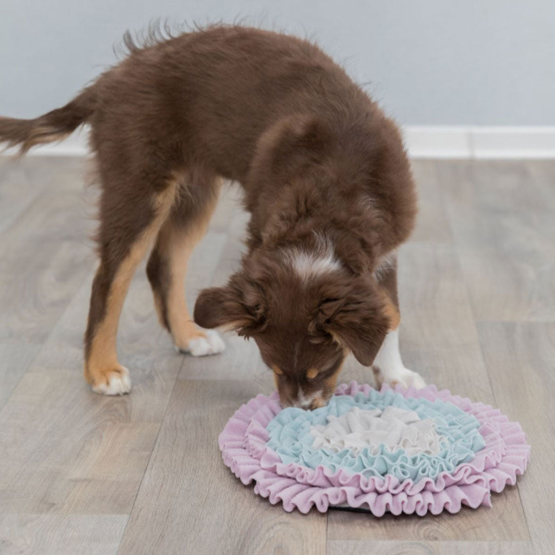 Trixie Puppy Sniffing Mat