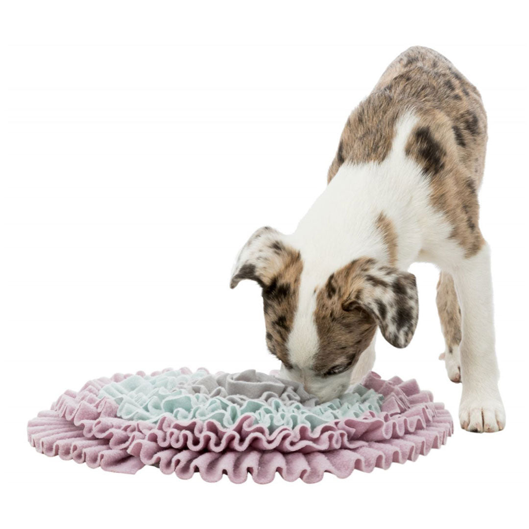 Trixie Puppy Sniffing Mat