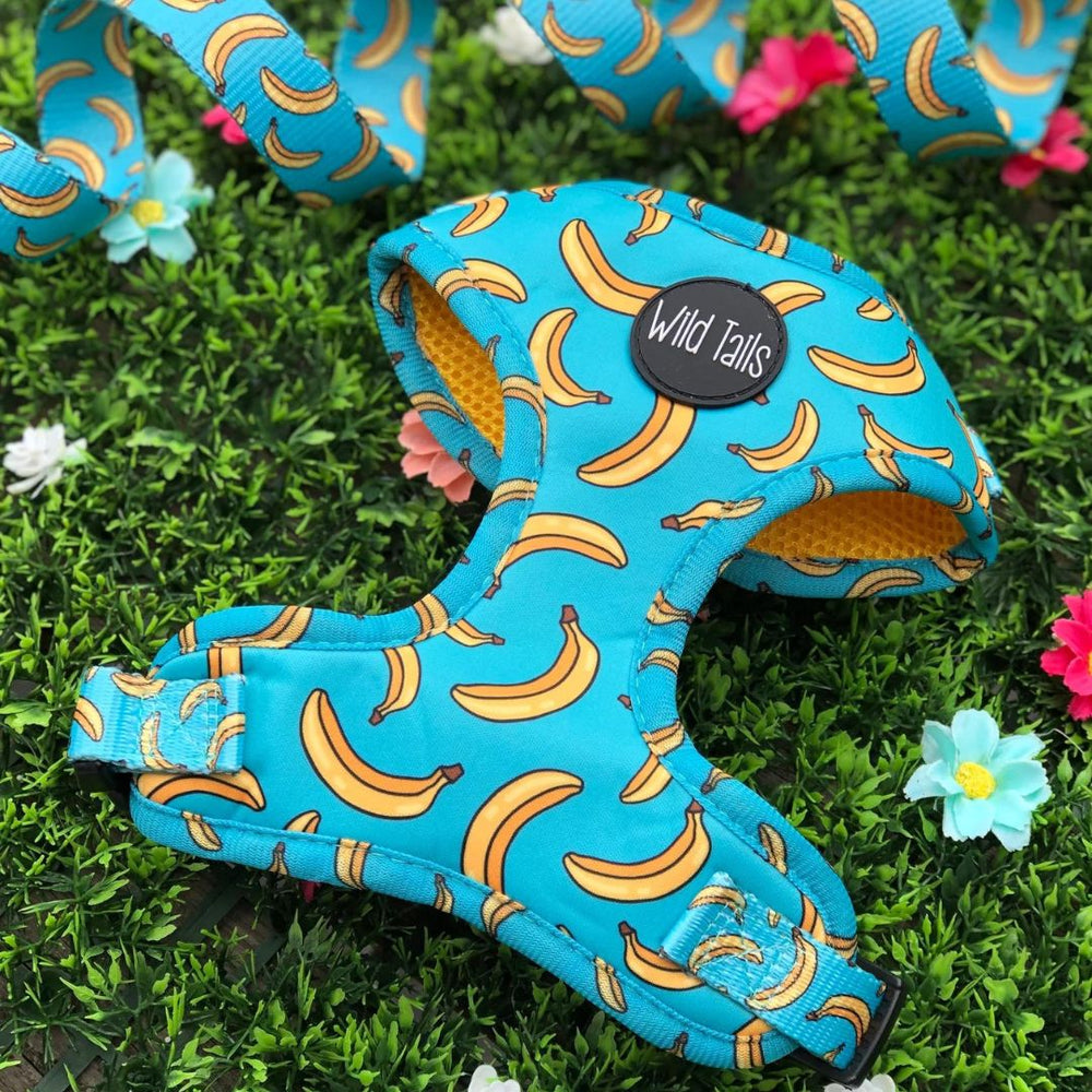 Wild Tails Go Bananas Dog Harness