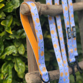 Wild Tails Orange Blossom Dog Lead