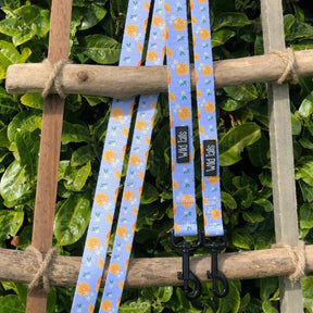 Wild Tails Orange Blossom Dog Lead