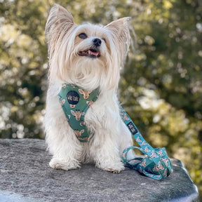 Wild Tails Your Highness Dog Harness