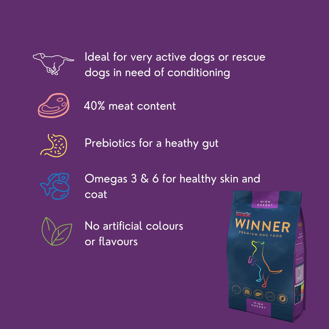 Winner - Energy Dog Food