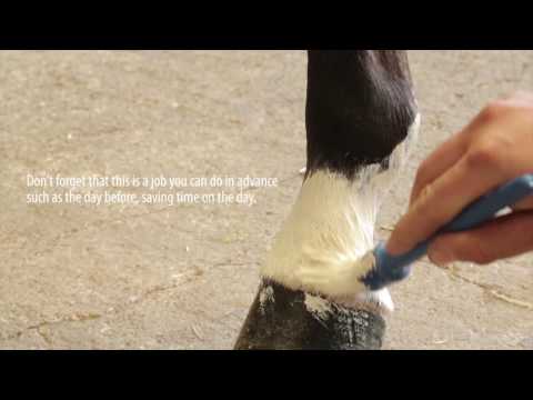 Supreme Products Leg & Body Whitener