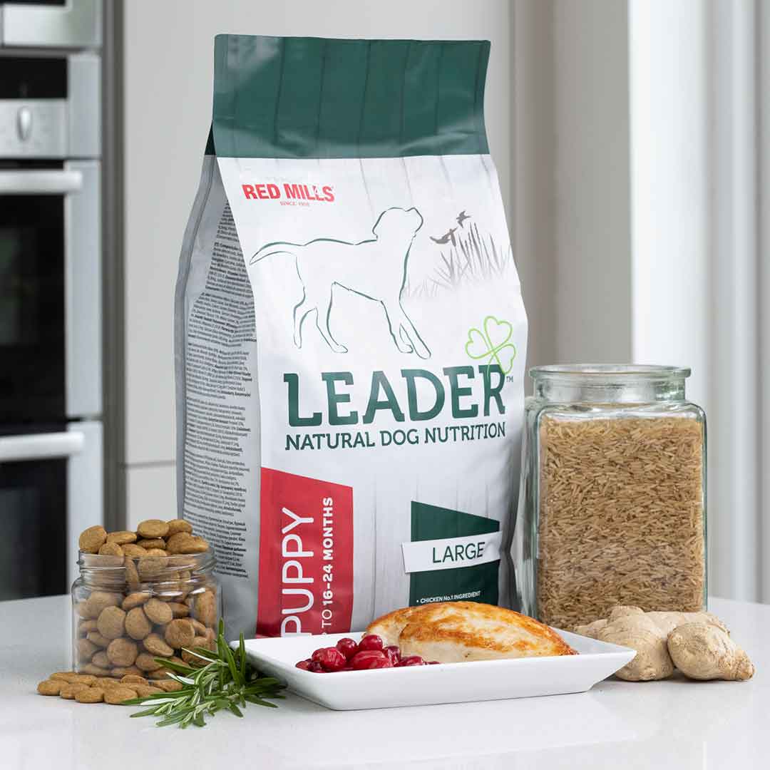 Leader Puppy Large Breed Dog Food