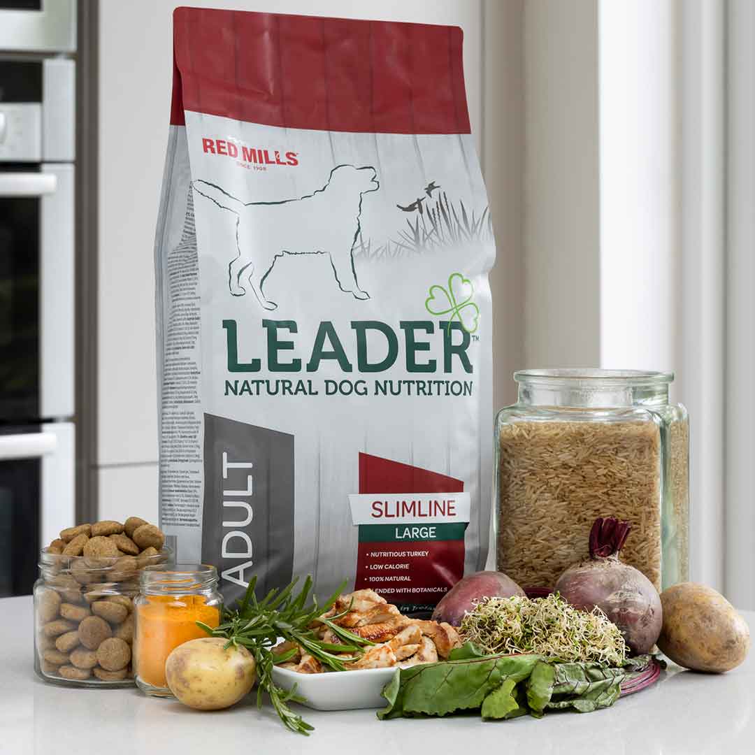 Leader Adult Slimline Large Breed Dog Food