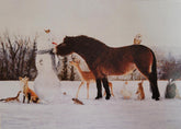 RDAI Charity Christmas Cards 6 pack